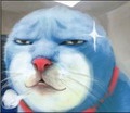 FallMonkey's avatar. fallmonkey